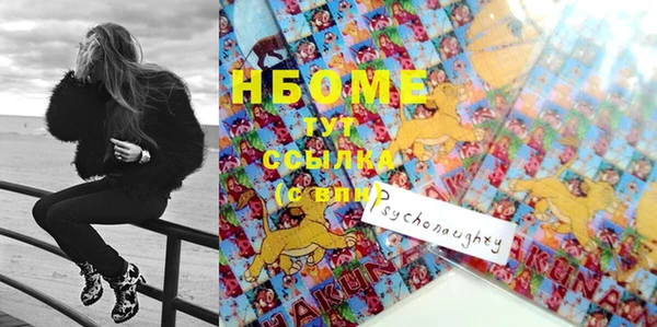 стаф Гусиноозёрск