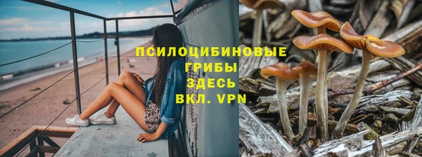 стаф Гусиноозёрск