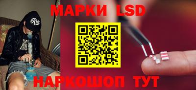 прущие грибы Балашиха