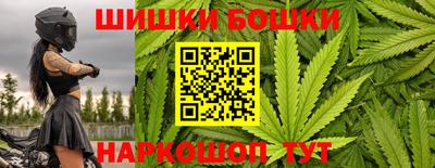 прущие грибы Балашиха