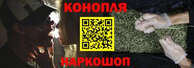 прущие грибы Балашиха