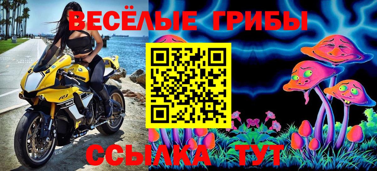 Псилоцибиновые грибы прущие грибы Боровичи