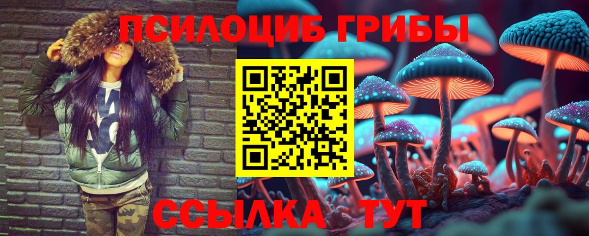 Боровичи  Галлюциногенные грибы ЛСД  Вход с VPN  Псилоцибиновые грибы Psilocybe 