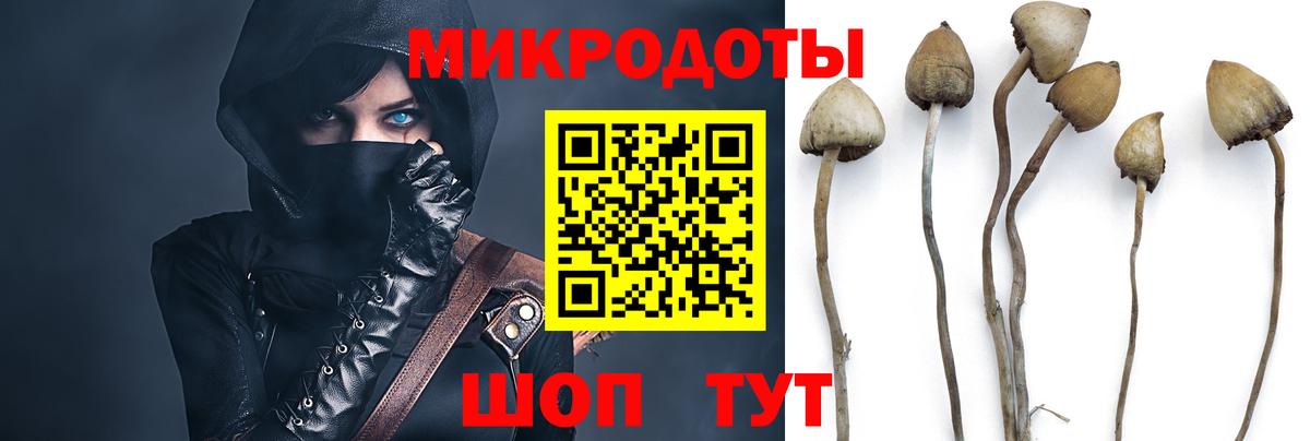 Галлюциногенные грибы Psilocybine cubensis  купить  сайты  Боровичи 
